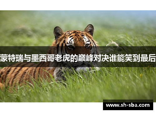 蒙特瑞与墨西哥老虎的巅峰对决谁能笑到最后