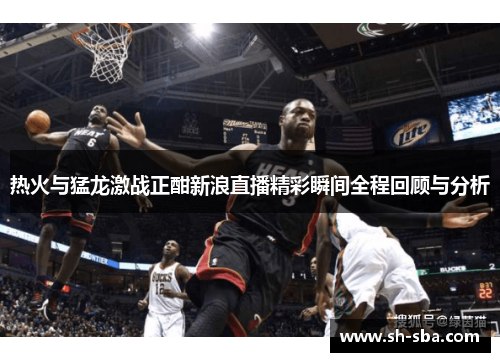 热火与猛龙激战正酣新浪直播精彩瞬间全程回顾与分析