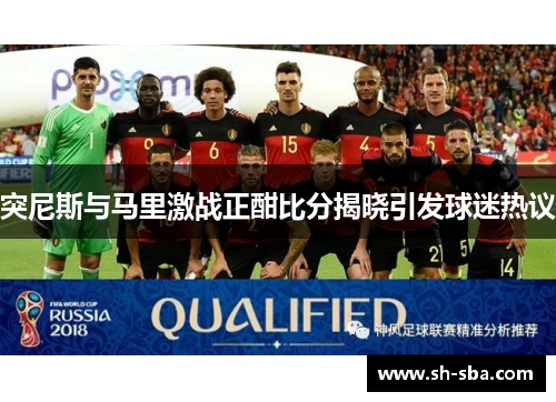 突尼斯与马里激战正酣比分揭晓引发球迷热议